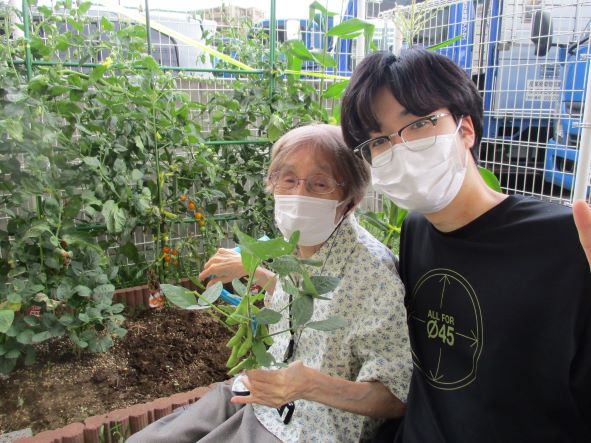 枝豆収穫!!　杉の子農園（デイ）