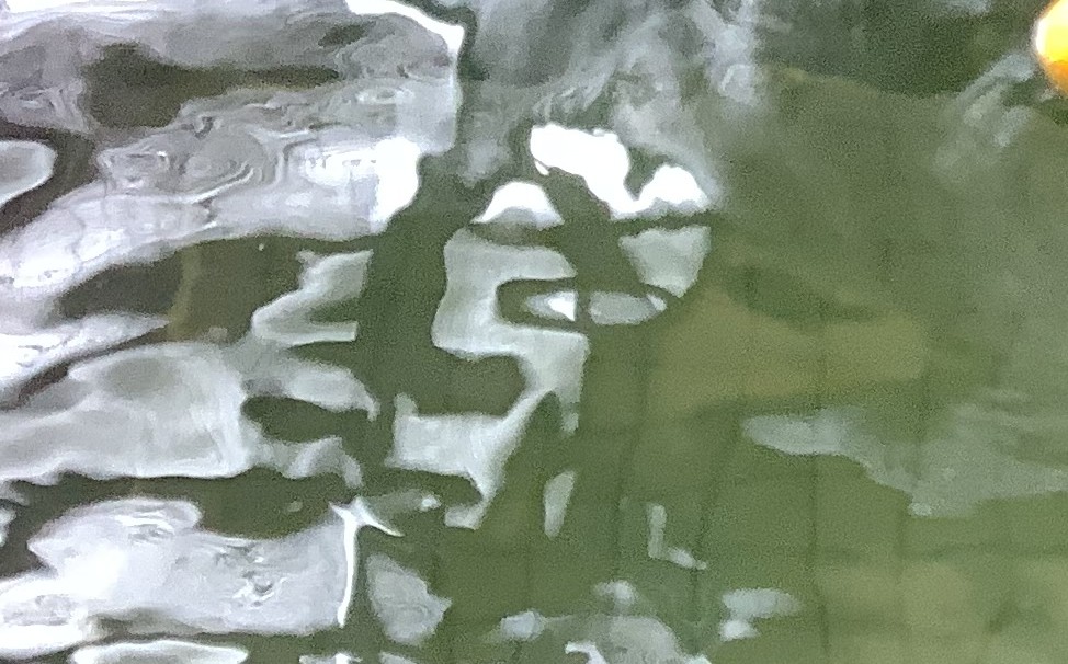 12月22日冬至(デイ)