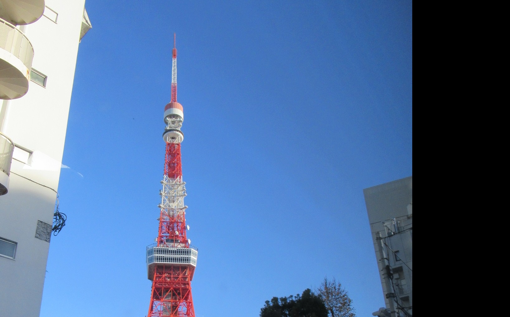 ドライブ（特養・ショート）