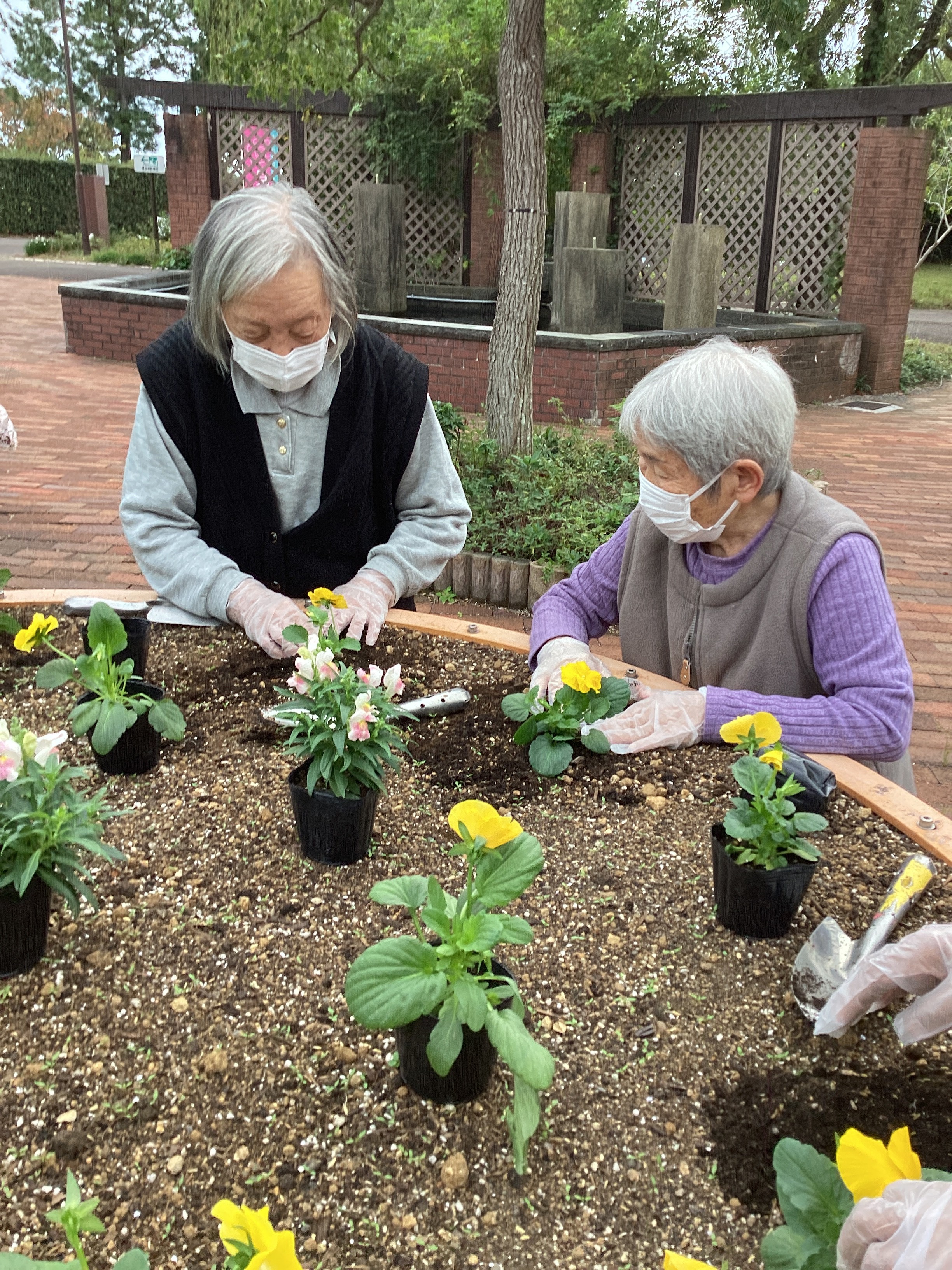 ひまわりの家　吉田公園植栽