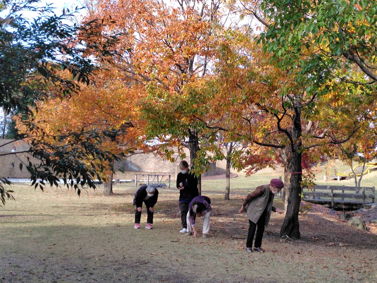 デイ★機能訓練外出（紅葉狩り）